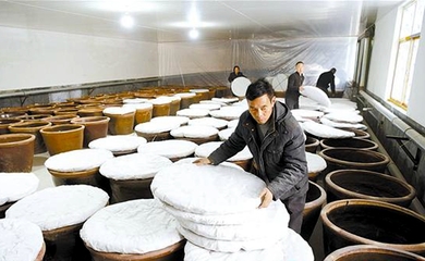 釀造食醋奔富路，食品銷售創輝煌——傳統技藝與現代市場的完美融合